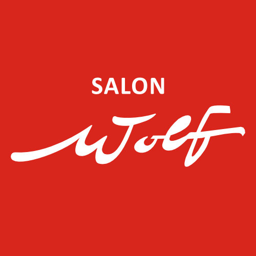 Logo Salon Wolf Dresden